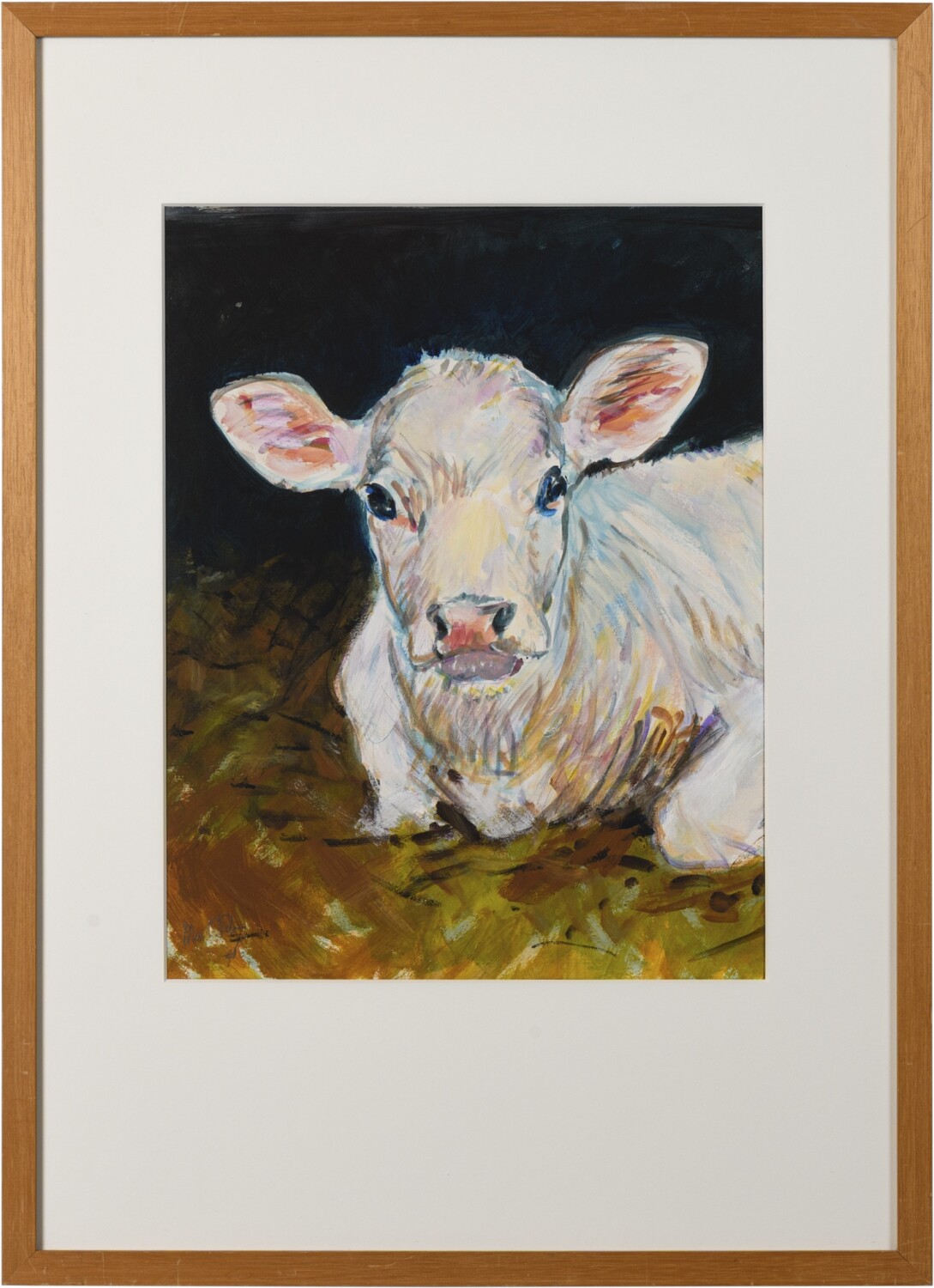 Belgisch wit blauw kalf