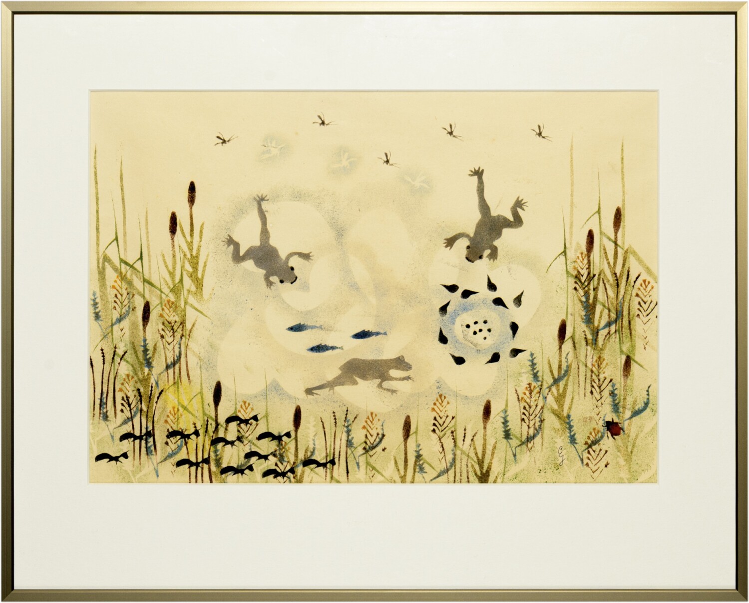 Twee kikkers in een vijver